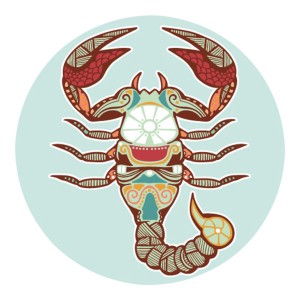 Zodie Scorpion 2016