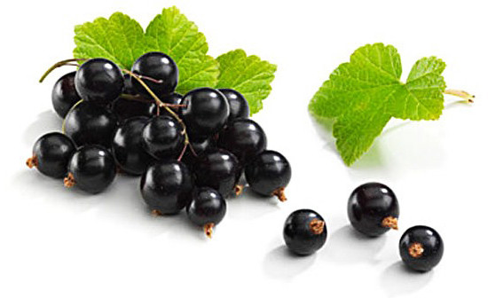 Afine negre proprietati