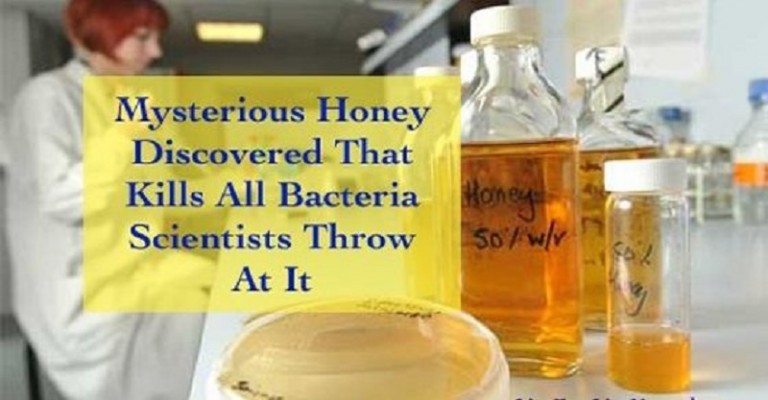 Miere misterioasa care ucide toate bacteriile