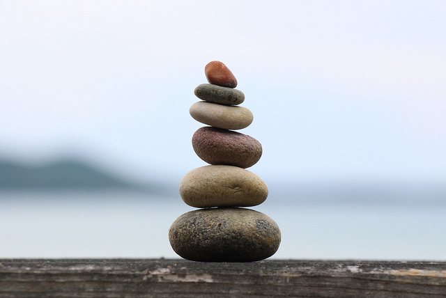 Principii picaturi zen