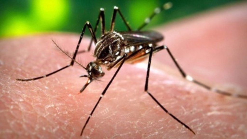 Virusul Zika Romania