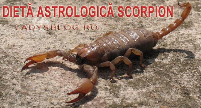 Dieta Astrologica Scorpion