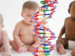 Al doilea bebeluş modificat genetic în China