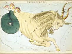 Zodiac Capricorn pe 6 luni (2016)