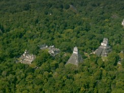 Noi descoperiri aparţinând civilizaţiei Maya