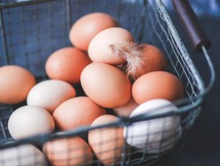 Diferenţa dintre ouăle roşii şi albe